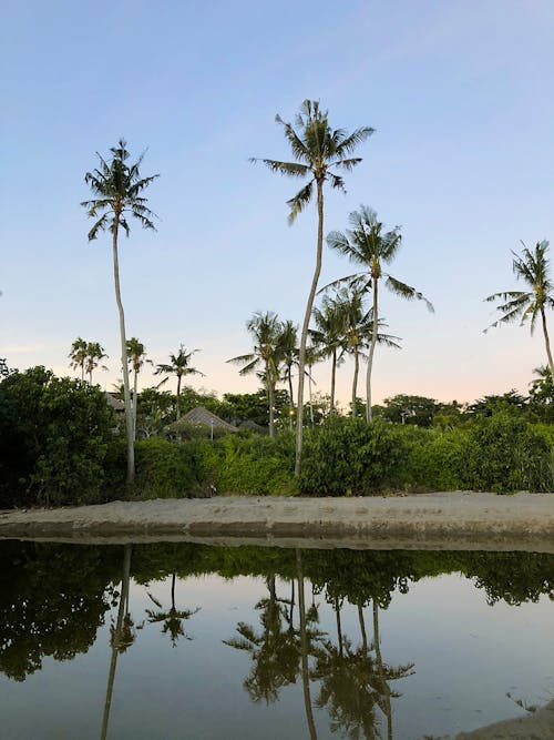 Foto stok gratis air, alam, danau