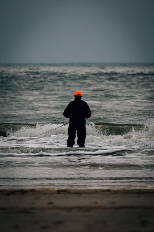 Gratis arkivbilde med fiske