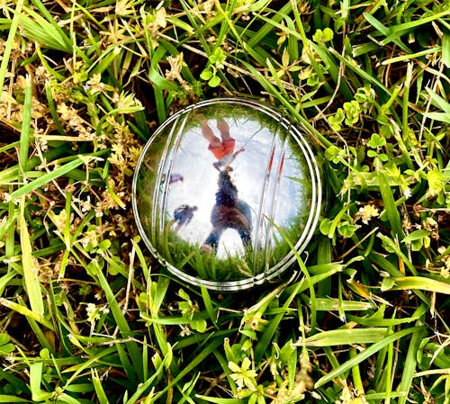 Close-Up Shot of a Lensball on the Grass