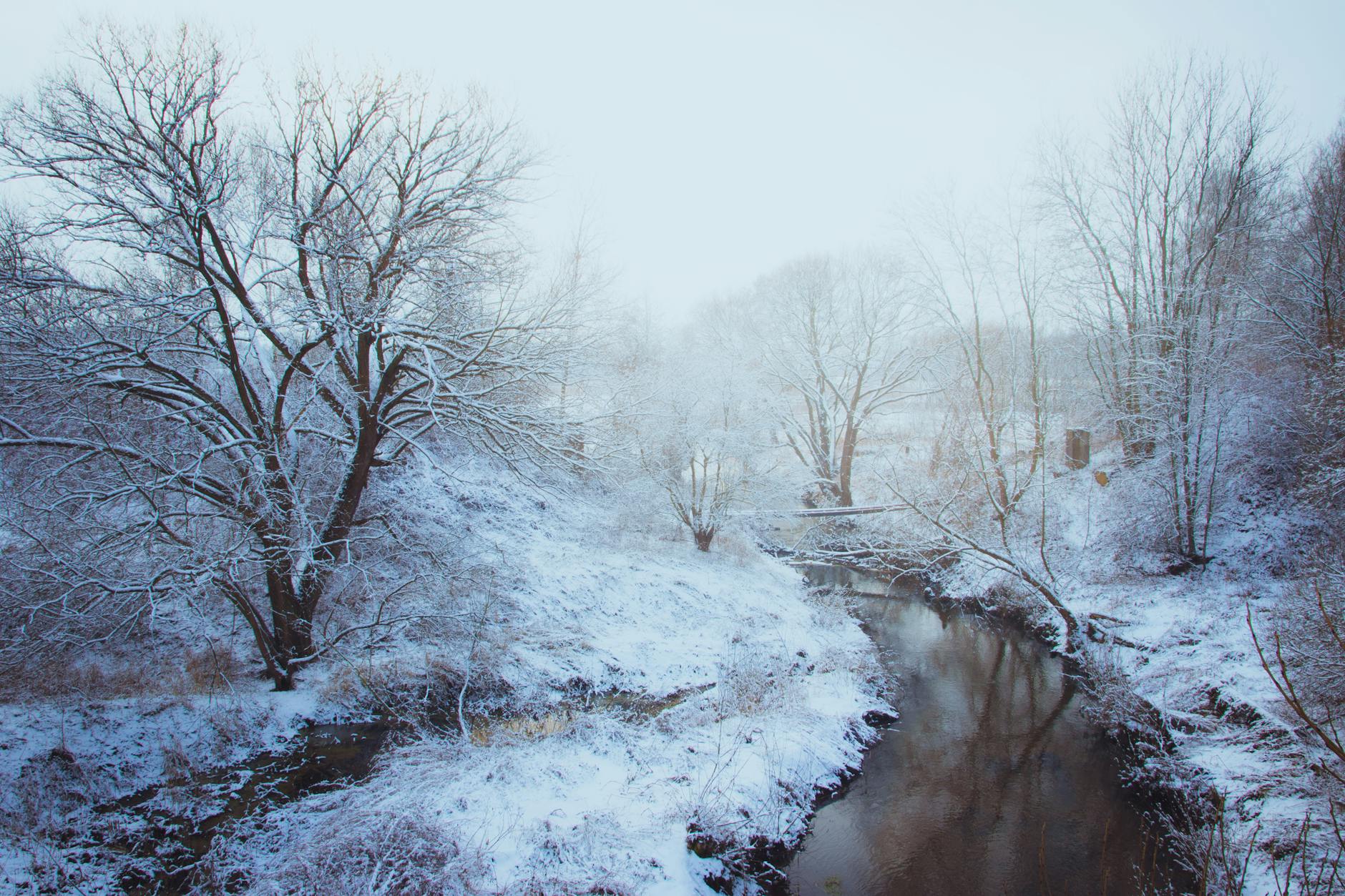 A scenic winter river flowing through snow-covered trees in Pyskowice, Poland.