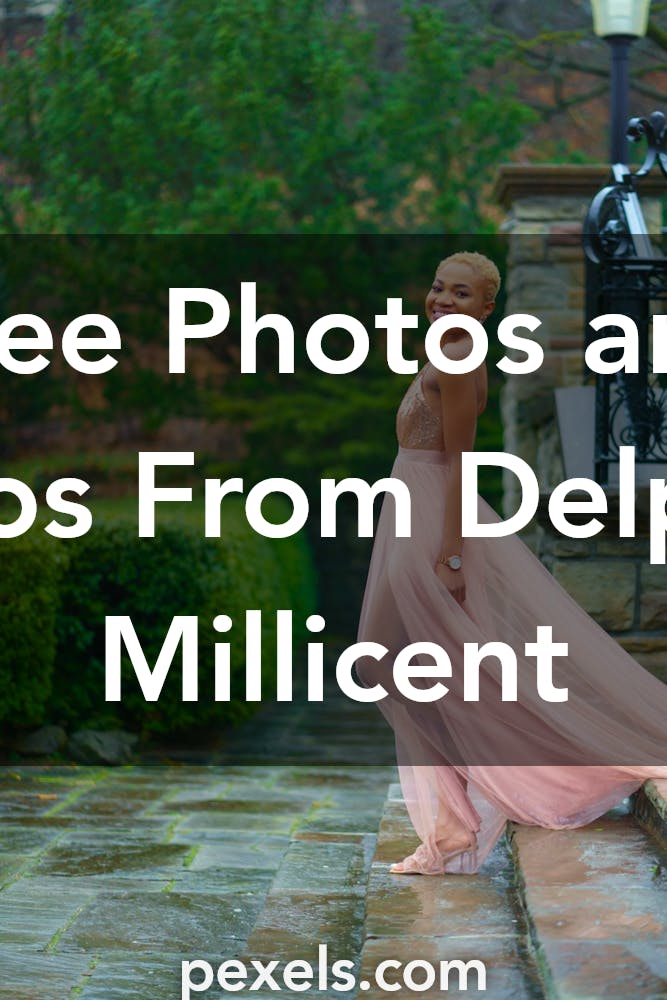 Delphine Millicent - Photography