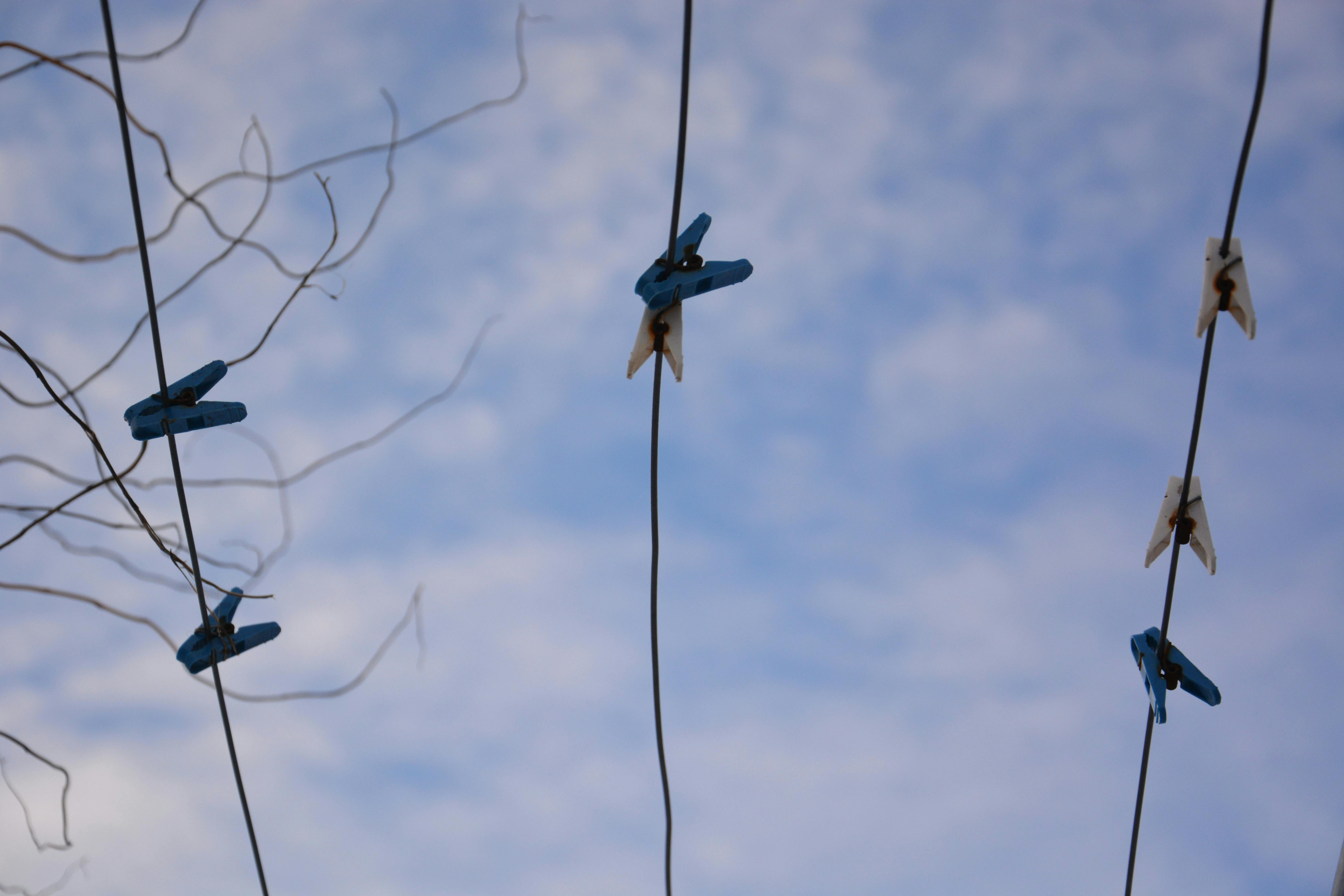 Free stock photo of blue hour, blue sky