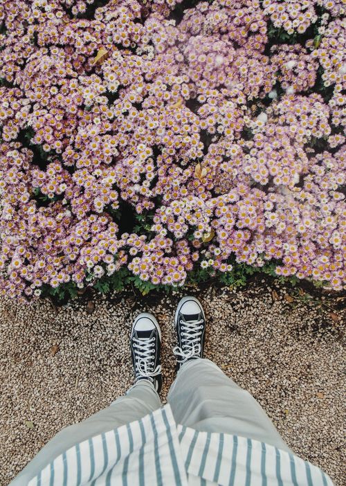Free A person wearing casual shoes standing on a gravel path next to vibrant pink flowers. Stock Photo