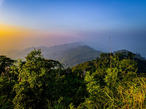 Fotos de stock gratuitas de cima de la colina, colina, fondo de la naturaleza