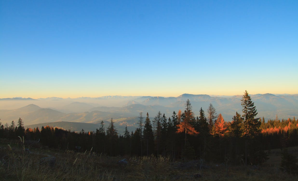 High Angle Photography of Valley Covered With Fog