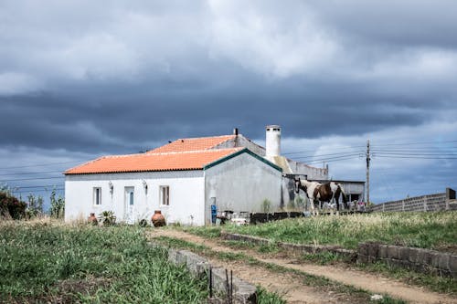 бесплатная Белый бетонный дом в окружении зеленой травы Стоковое фото