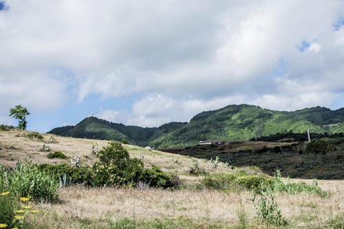 無料 山頂の緑の草の写真 写真素材
