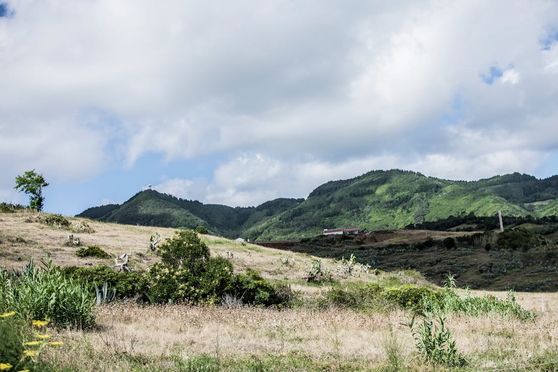 Photography of Green Grasses on Mountain Top