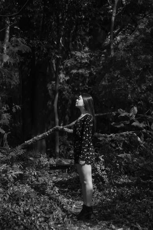 Бесплатное стоковое фото с вертикальный выстрел, женщина, лес