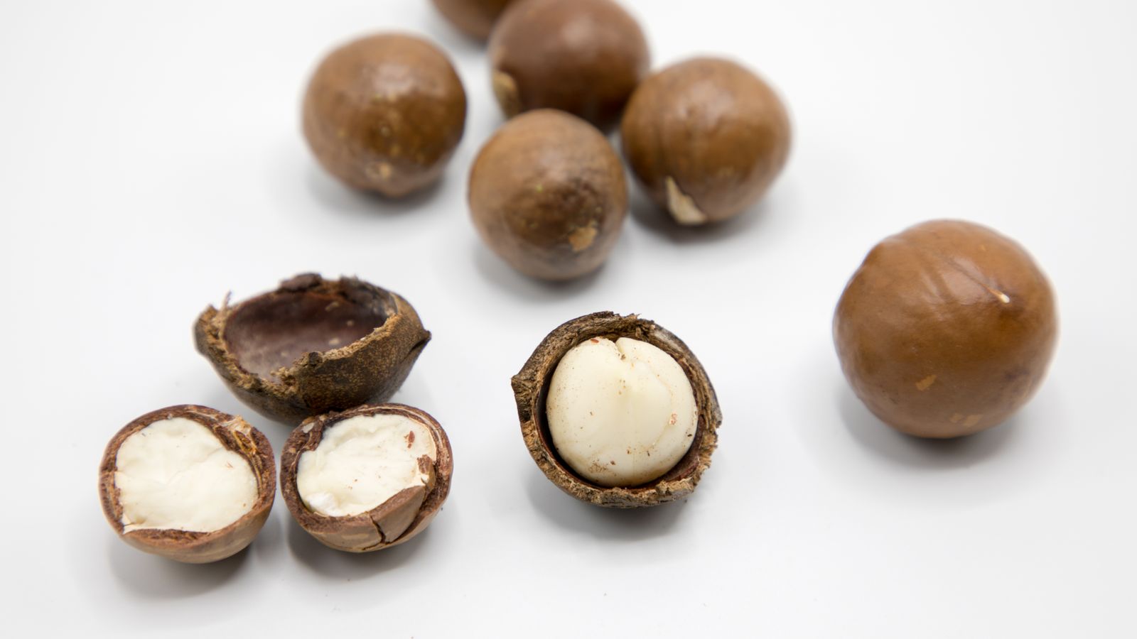 Raw macadamia nuts showing whole and open shells — photo by Tony Wu on Pexels Raw macadamia nuts showing whole and open shells