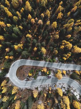 Breathtaking aerial view showcasing a winding road cutting through a vibrant autumn forest.