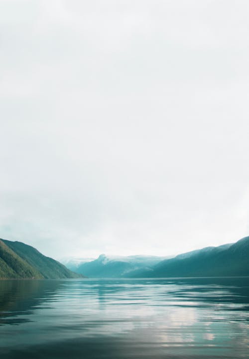 Fotos de stock gratuitas de amanecer, cielo blanco, con neblina