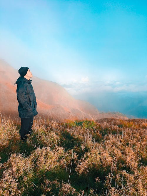 Foto stok gratis alam, fotografi alam, gunung