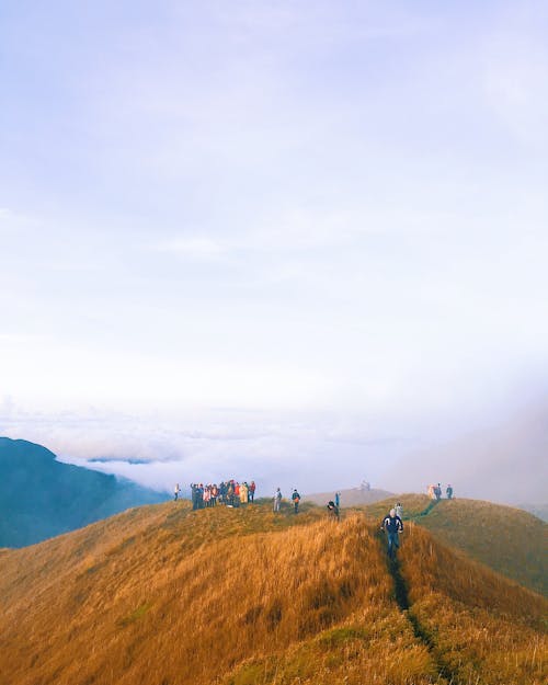 People Standing on Brown Hill