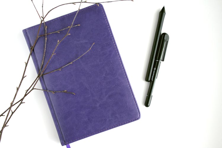 Purple Leather Notebook, Black Pen, And Brown Branches