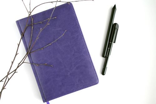 Free Overhead view of a purple notebook, pen, and branches on a white surface, creating a minimalist workspace feel. Stock Photo