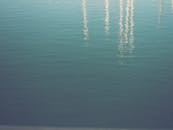 阳光洒在平静的水面上，波光粼粼，营造出宁静的夏日景象