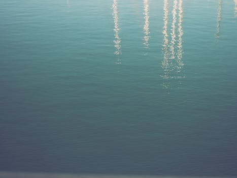 阳光下，水面波光粼粼，一片宁静的夏日景象