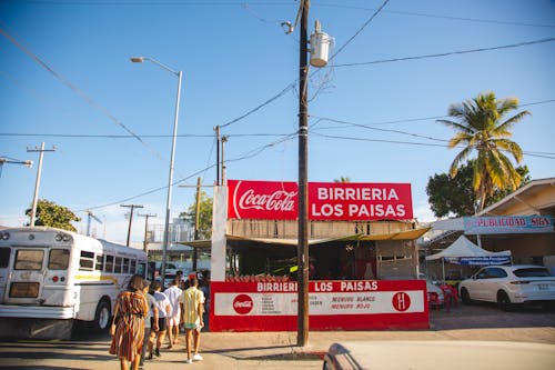 Photos gratuites de autobus, cabo san lucas, coca cola