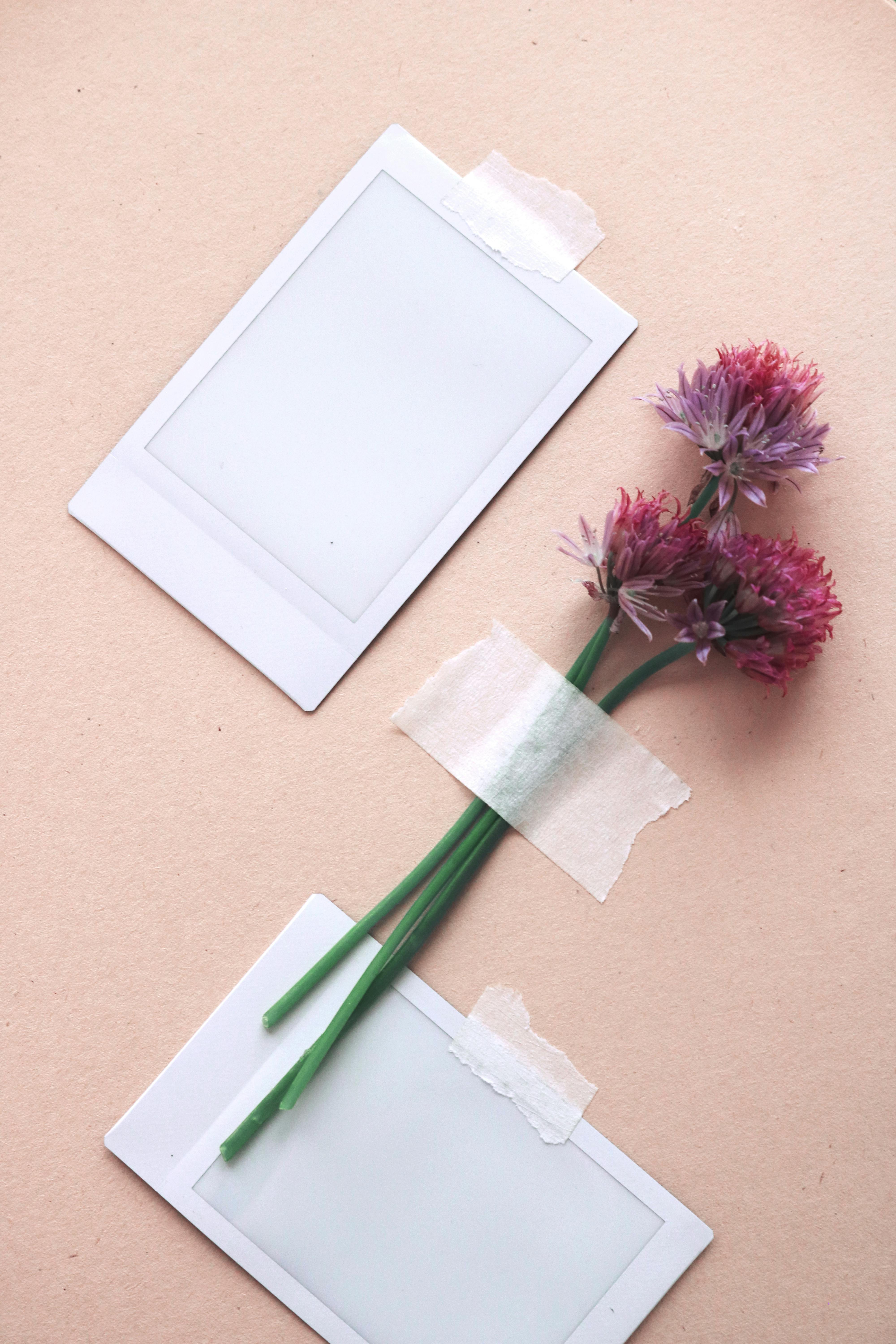 Creative flat lay of polaroid frames with purple flowers taped on a beige surface.