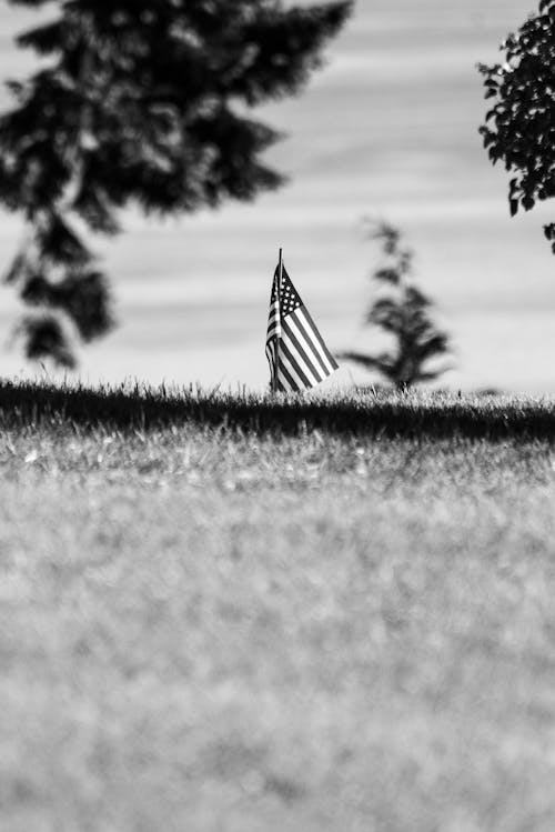 Free Grayscale Photo Of American Flag On Grass Field Stock Photo