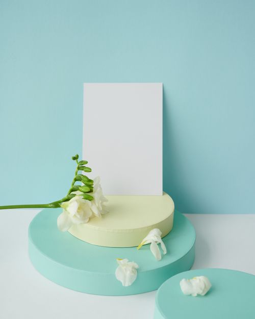 Free Elegant blank paper on pastel podiums with white flowers against a blue backdrop, perfect for mockups. Stock Photo