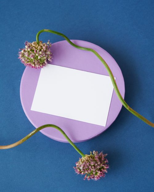 Free A blank card on a purple plate surrounded by flowers on a blue background. Stock Photo