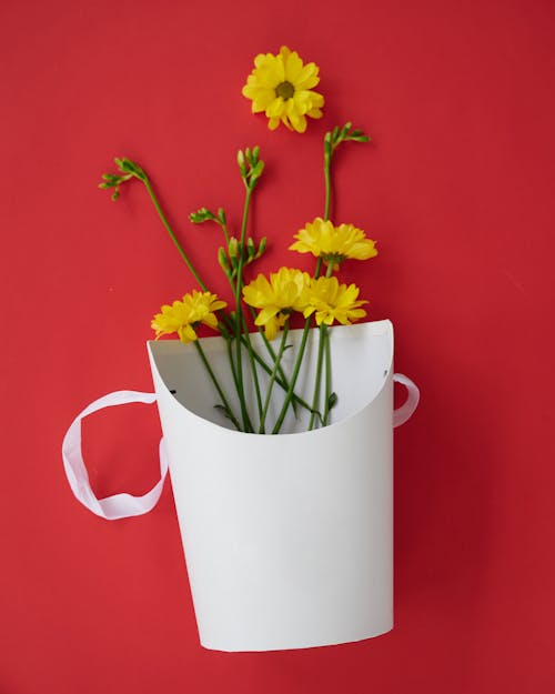 Flowers and a Pot on a Red Background