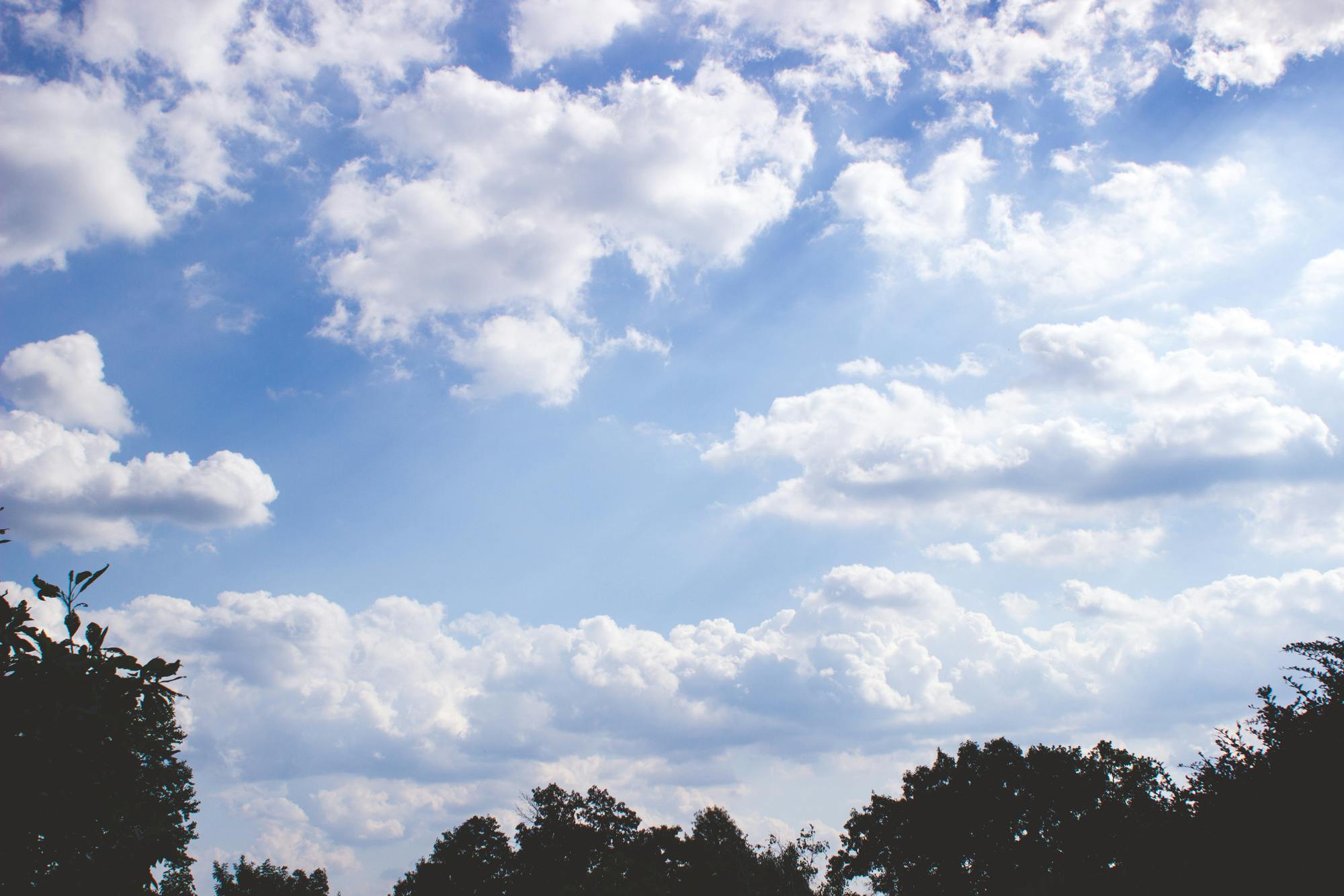 夏 空 雲の無料の写真素材