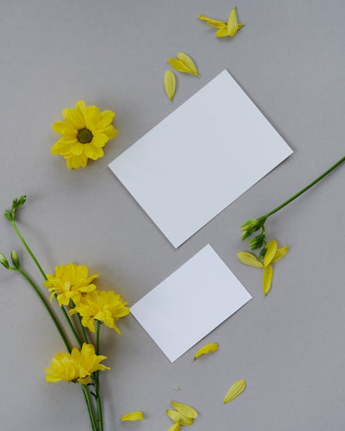 Close up of Paper and Flowers