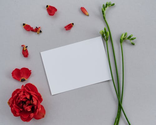 Flowers and Petals Around a Blank Card