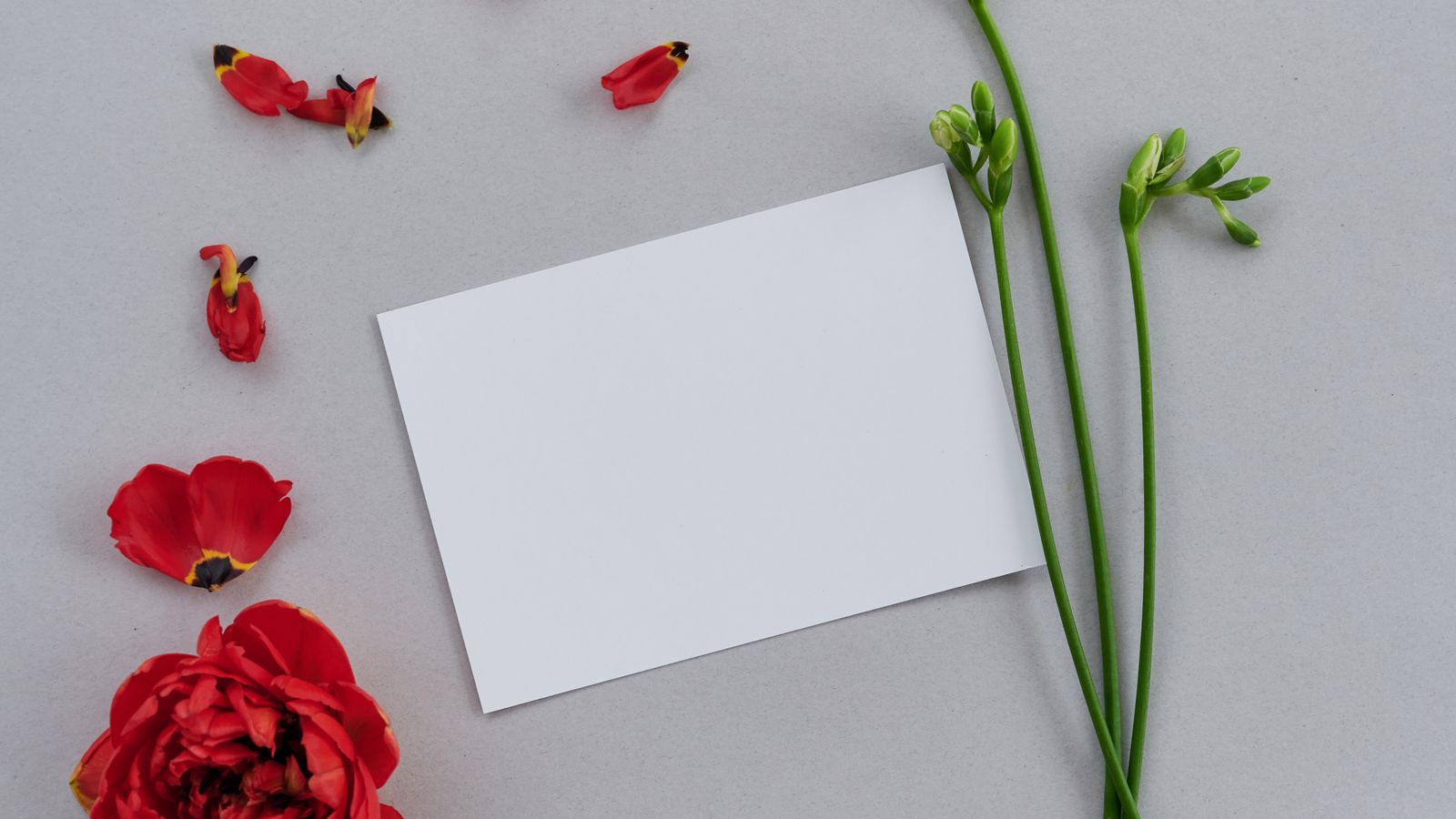 A blank white card beside red petals and green flower stems