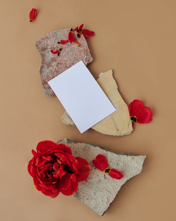 Red Rose And A White Card On Rocks 