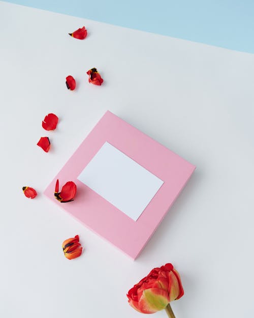 Blank Paper Sheet and Flower Petals