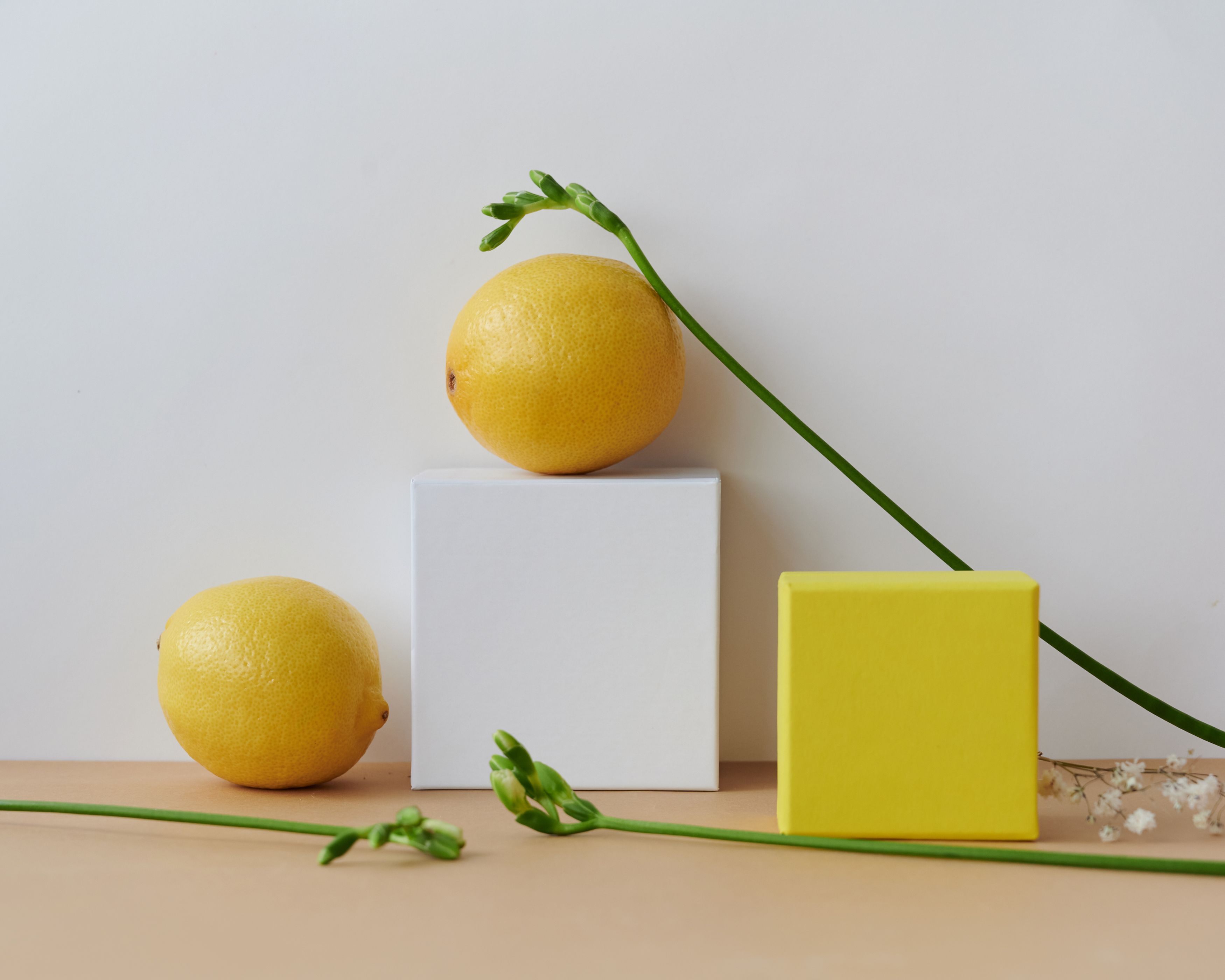 A creative minimalist still life featuring lemons on geometric shapes, accented with green stems.