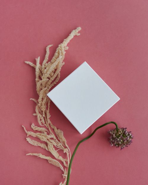 Free A minimalist flat lay of a white box and dried plants on a red background, an artistic composition. Stock Photo