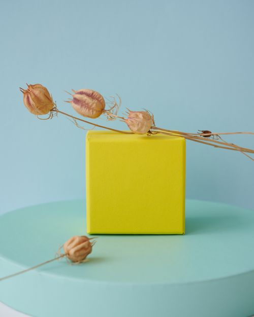 Free A minimalist design featuring a vibrant yellow cube set against a teal background with dried flowers. Stock Photo