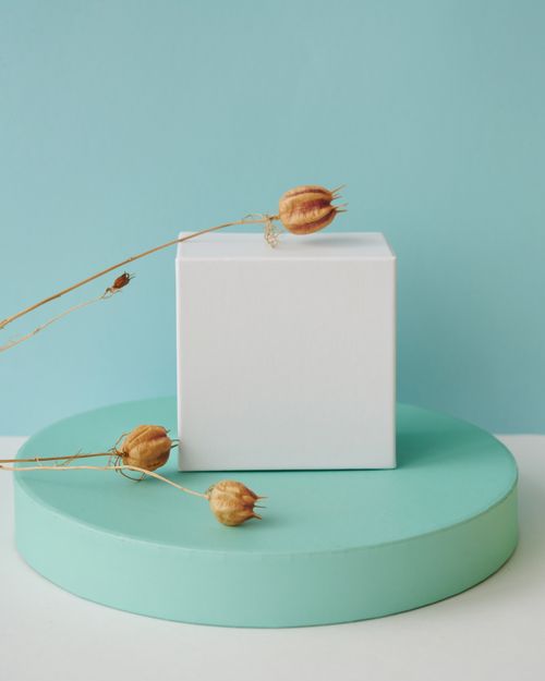 Free Minimalist setup with a white box and dried flowers on a pastel background, ideal for product display. Stock Photo