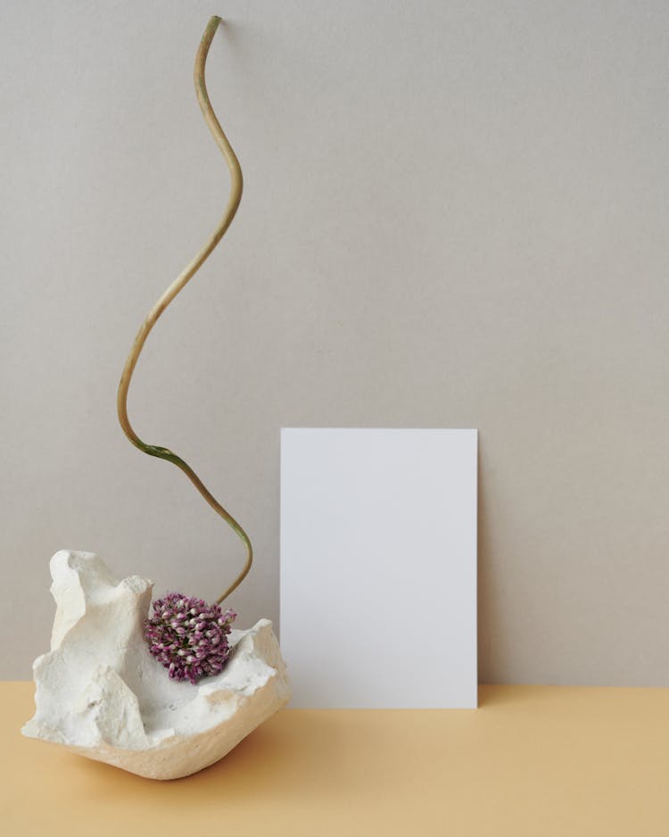 

A Blank White Paper Beside A Leek Flower On A Stone