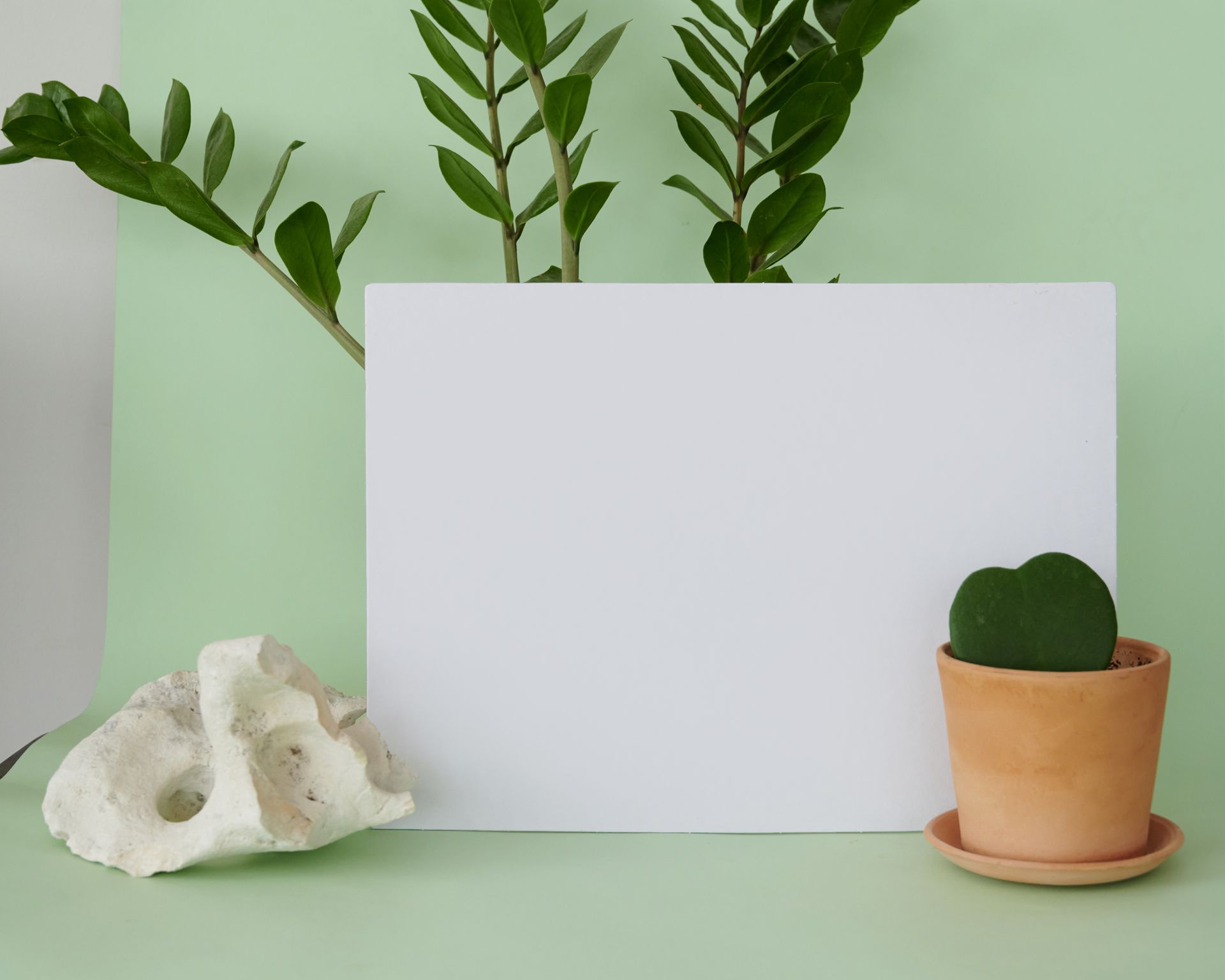 Blank Paper Sheet and Houseplants