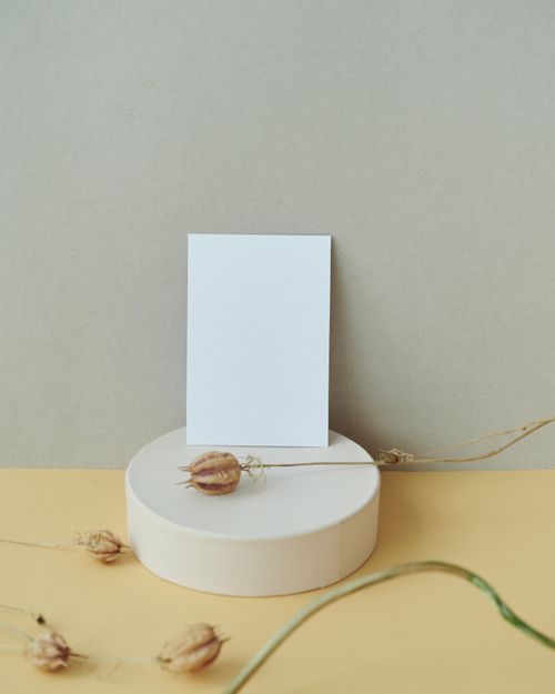 Free Blank card displayed on a round pedestal with dried seed pods, ideal for mockups. Stock Photo