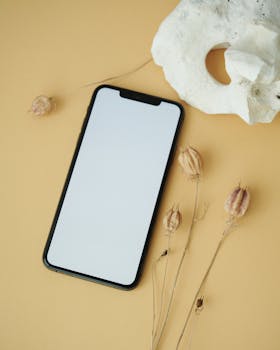 Smartphone on beige background with dried flowers and artistic shell. Perfect for tech and lifestyle content.