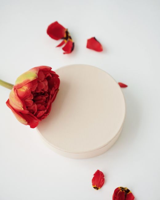 A vibrant red peony rests on a circular platform with scattered petals, showcasing minimalist elegance.