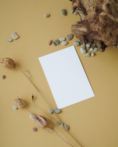 Free Flat lay of white paper surrounded by dried flowers and stones against a natural backdrop, perfect for product mockups. Stock Photo