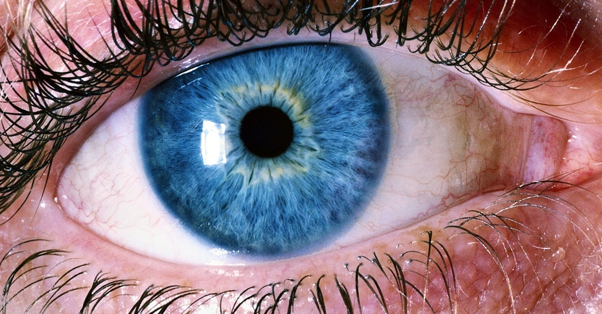 AIIMS Eye Bank Expands Cornea Retrieval with Three New Hospitals