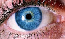 宏观镜头下，人眼的蓝色虹膜和睫毛细节清晰可见