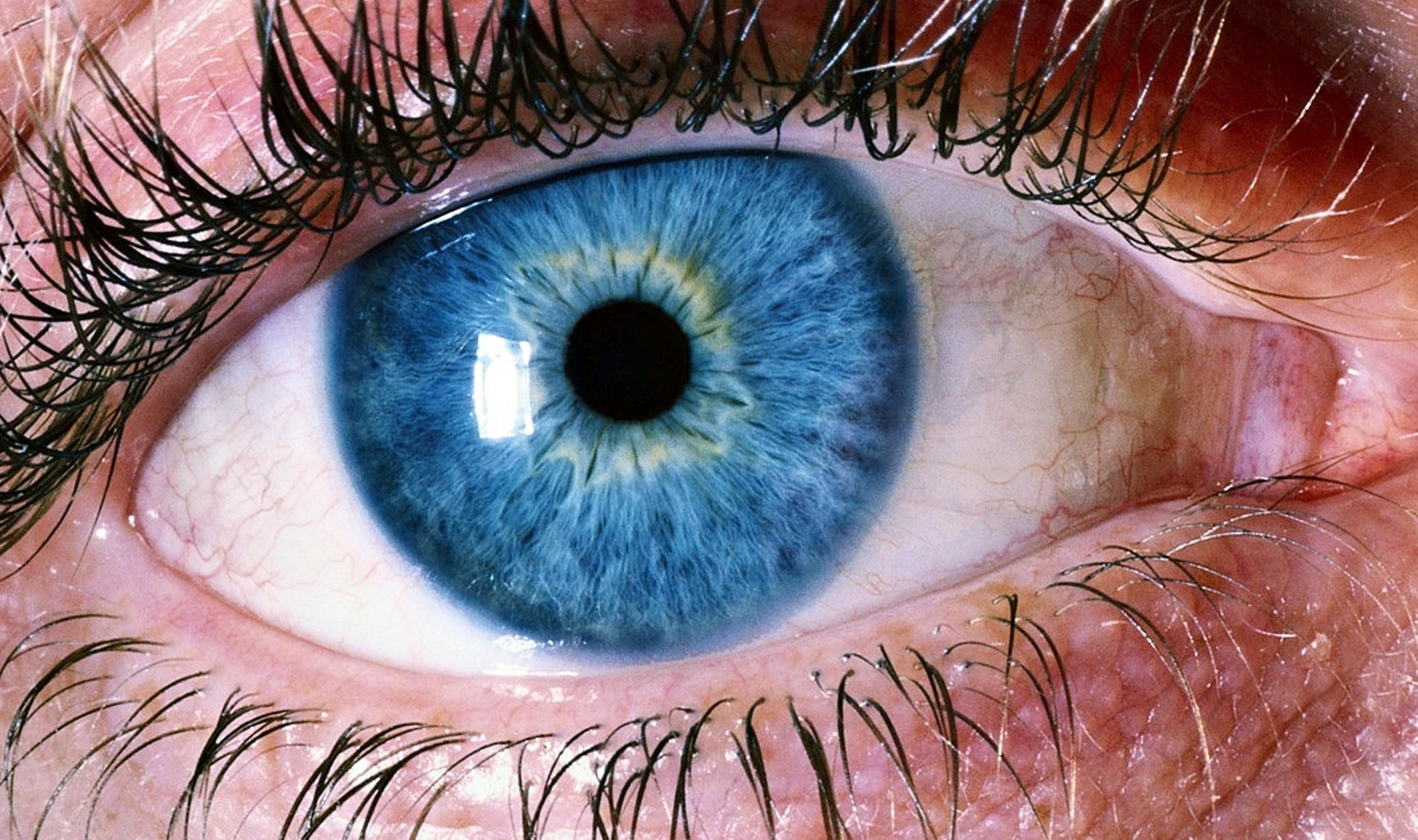 Close Up Of Human Eye · Free Stock Photo