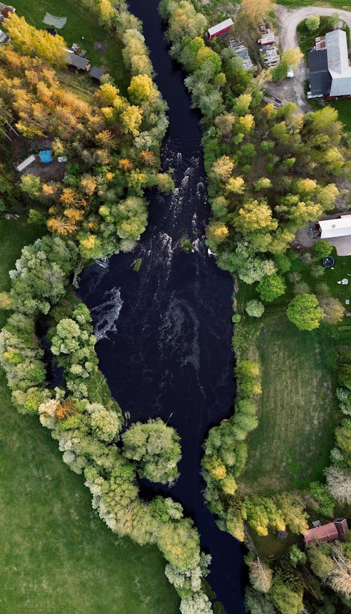 
An Aerial Shot of a River Surrounded by Trees