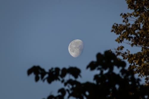 Foto profissional grátis de atraente, beleza, Canadá