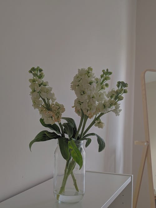 White Flowers on Clear Vase